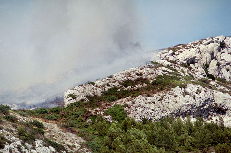 ../Images/14 juillet 01.jpg
